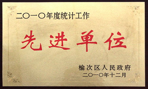 统计工作先进单位