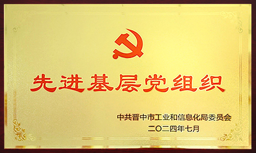2024年先进基层党组织